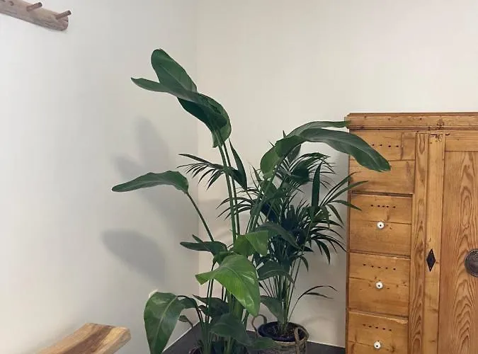 Maison De Charme Vue D'exception Hébergement de vacances *