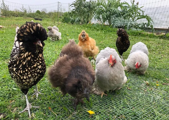 Maison De Charme Vue D'exception *