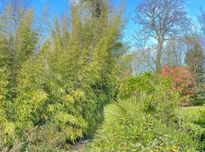 Hébergement de vacances Maison De Charme Vue D'exception